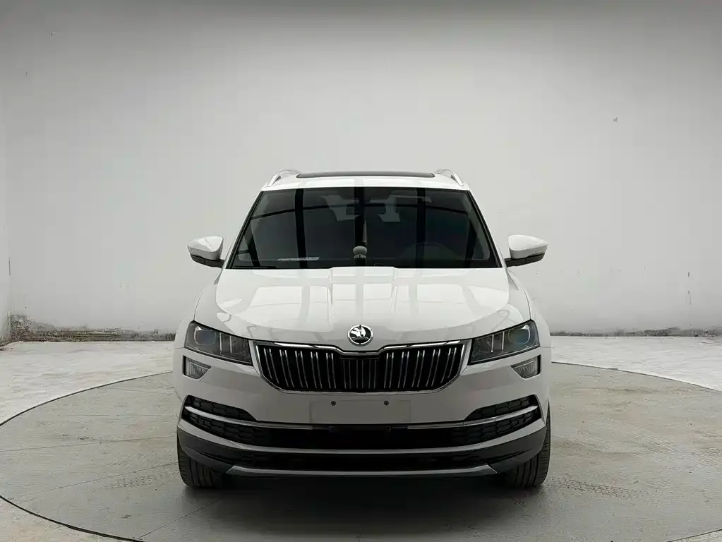 Skoda Karoq 2022 из CN, фото 4