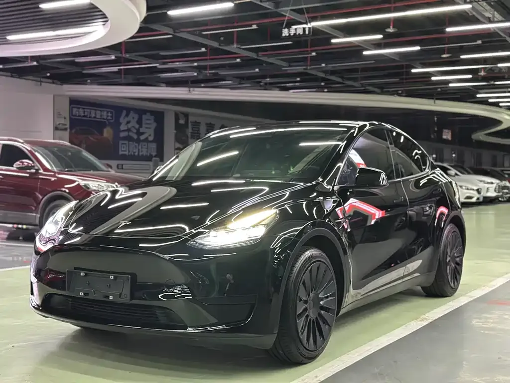 Tesla Model Y — фото 1