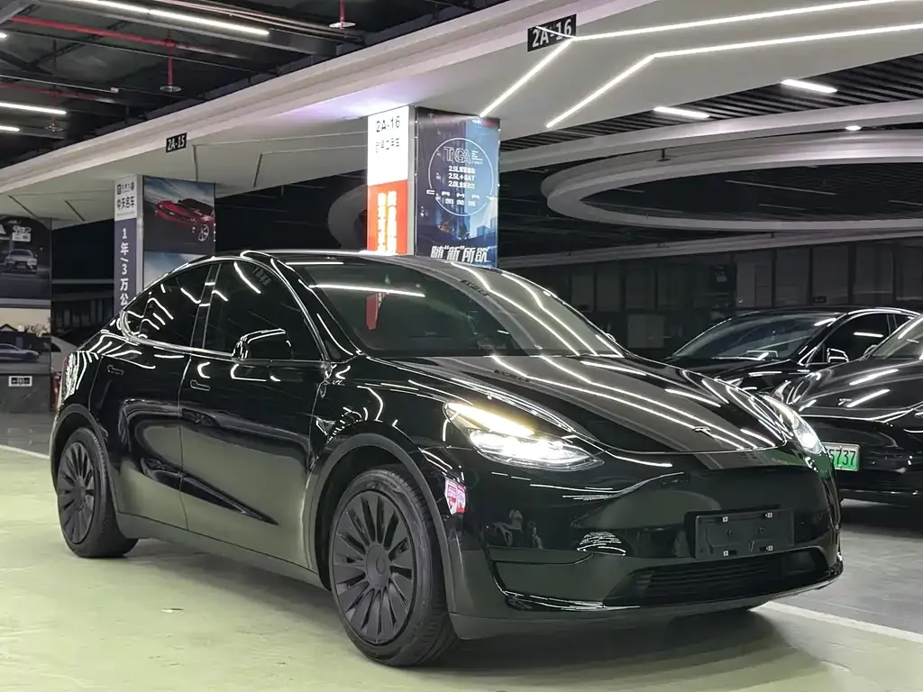 Tesla Model Y — фото 9