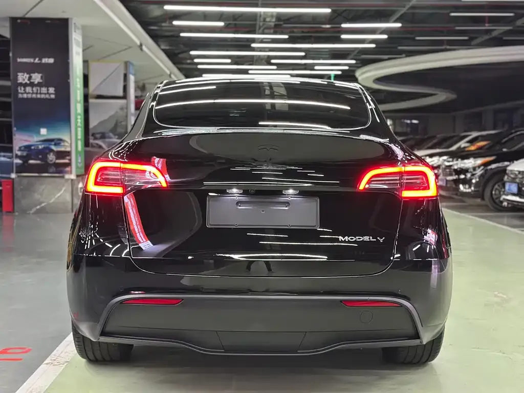 Tesla Model Y — фото 6