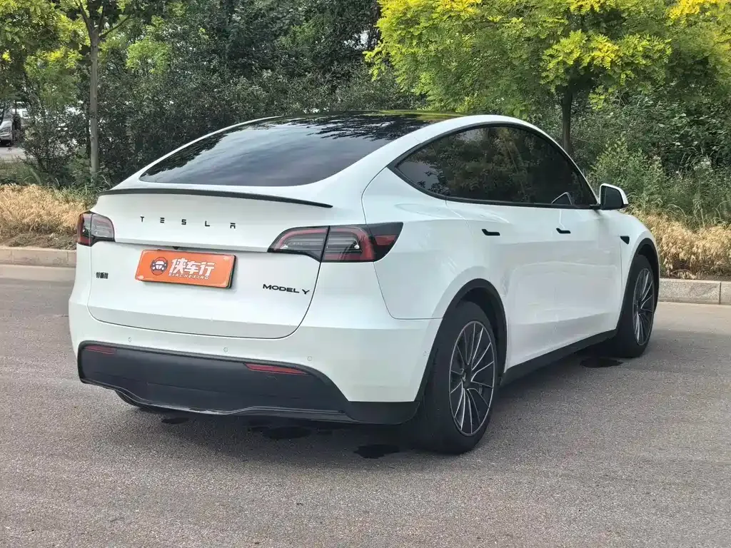Tesla Model Y — фото 4