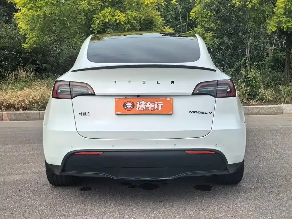 Tesla Model Y — фото 8