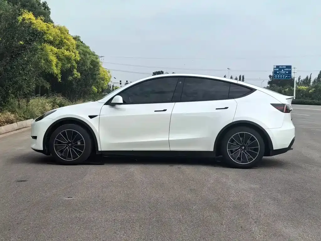 Tesla Model Y — фото 9