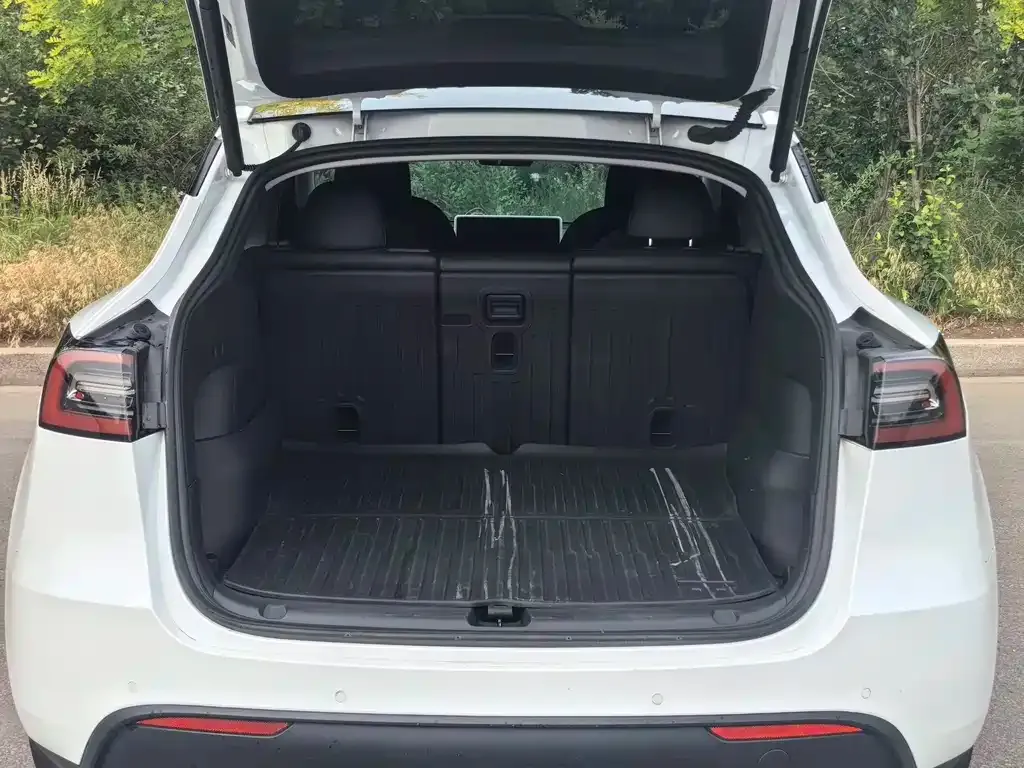 Tesla Model Y — фото 5