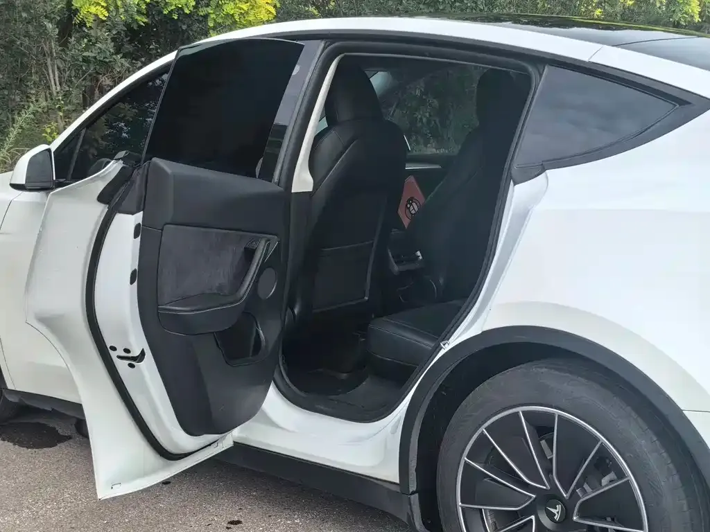 Tesla Model Y — фото 10