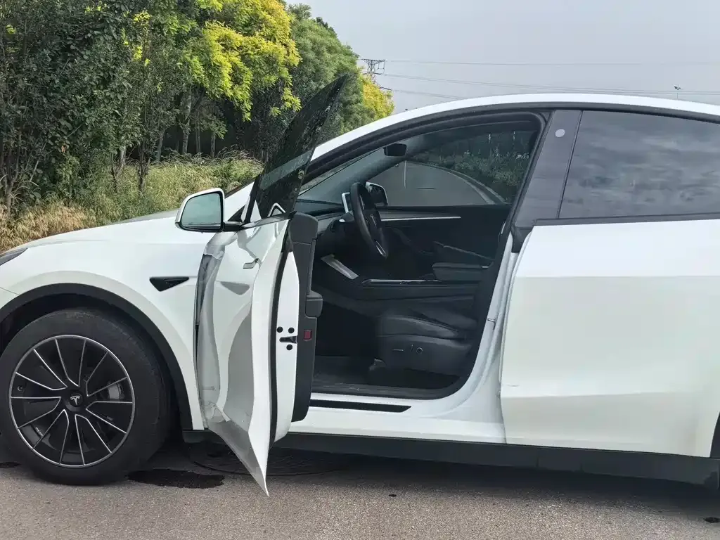 Tesla Model Y — фото 2