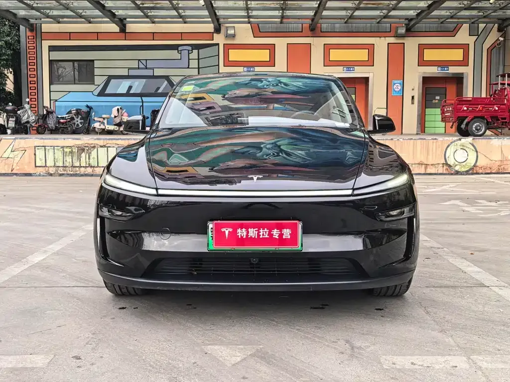 Tesla Model Y — фото 10