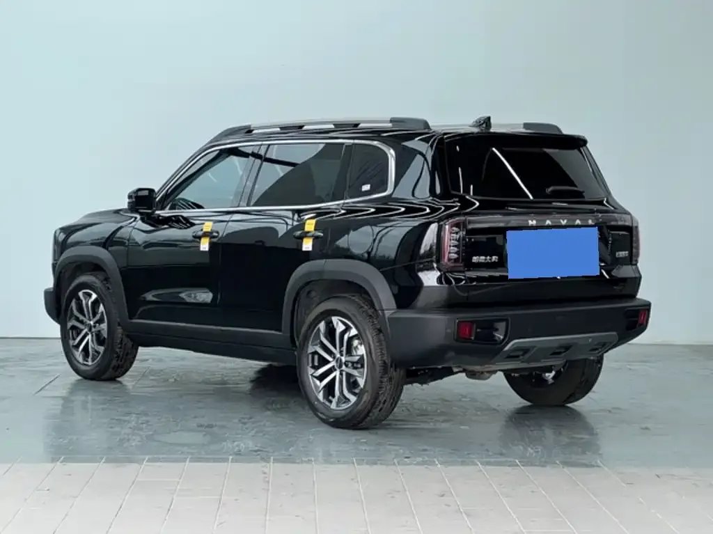 Haval Big Dog — фото 10