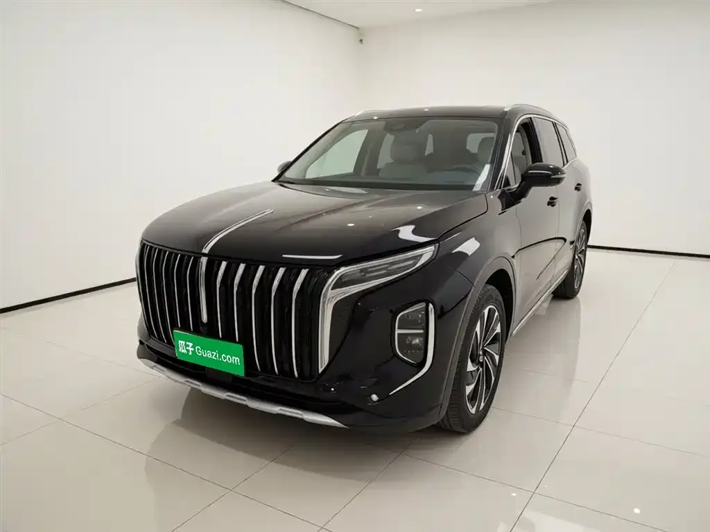 Hongqi HS7 PHEV 2024 из CN, фото 5