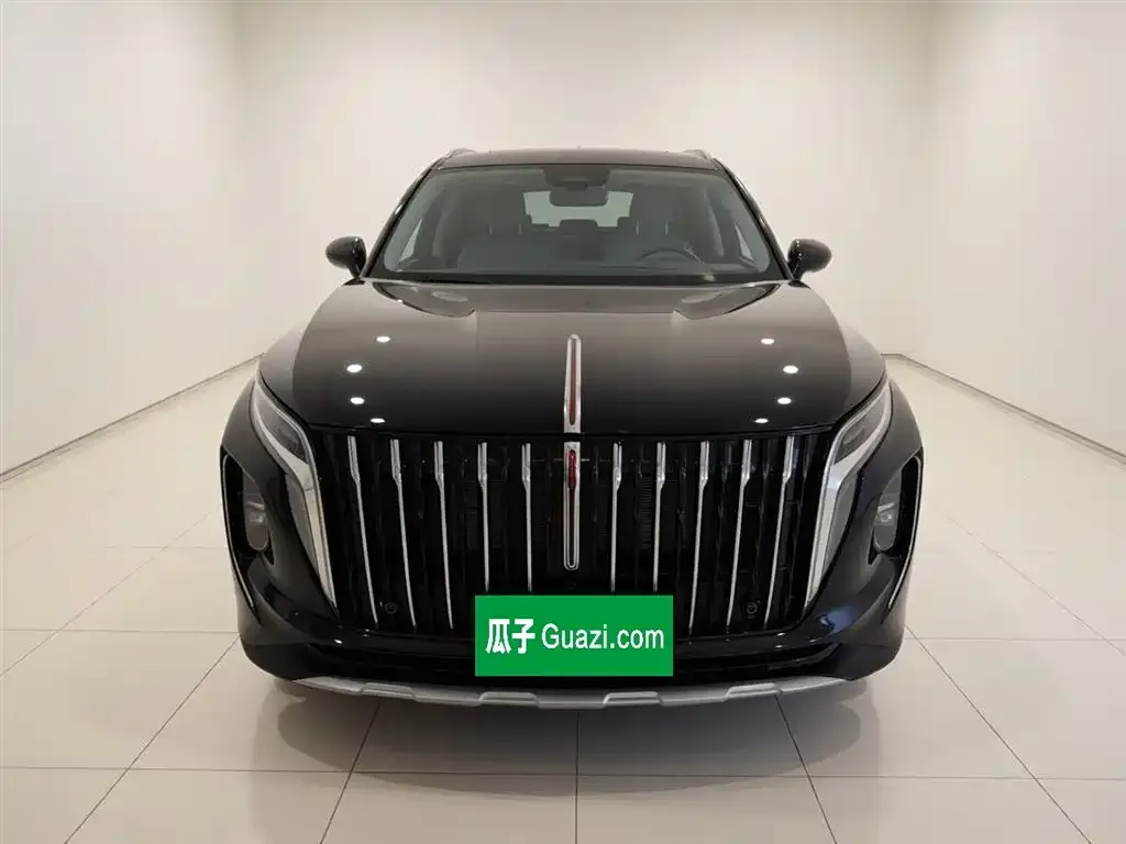Hongqi HS7 PHEV 2024 из CN, фото 3
