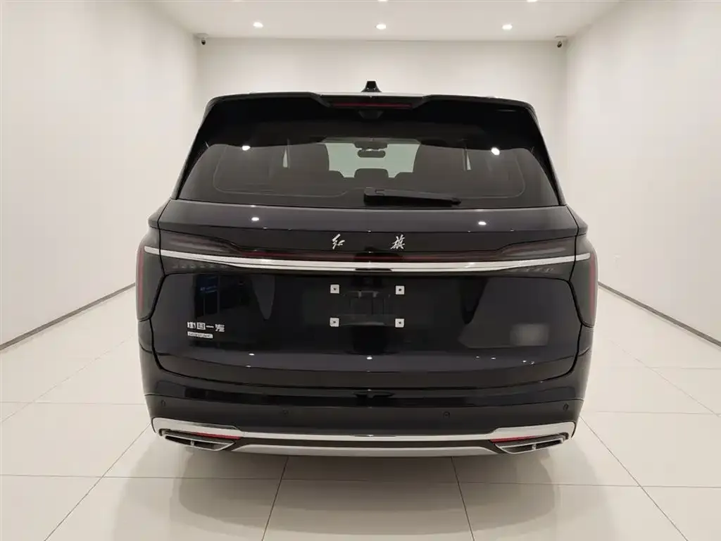 Hongqi HS7 PHEV 2024 из CN, фото 2