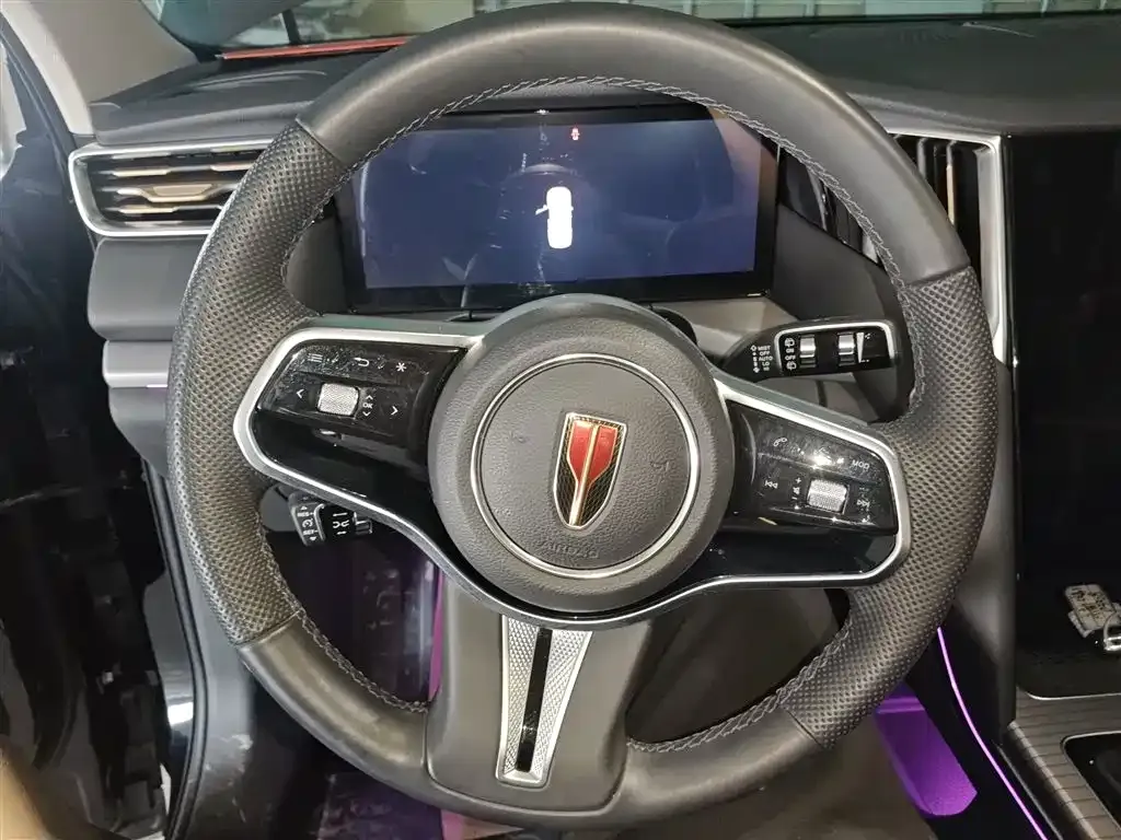 Hongqi HS7 PHEV 2024 из CN, фото 7