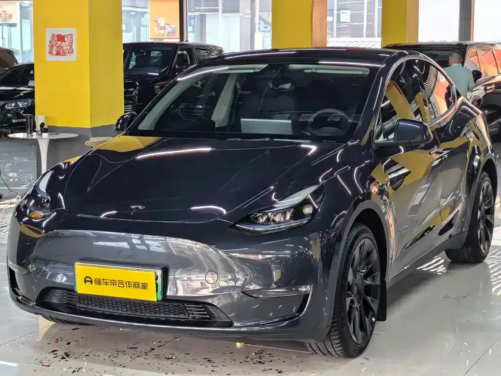 Tesla Model Y — фото 1