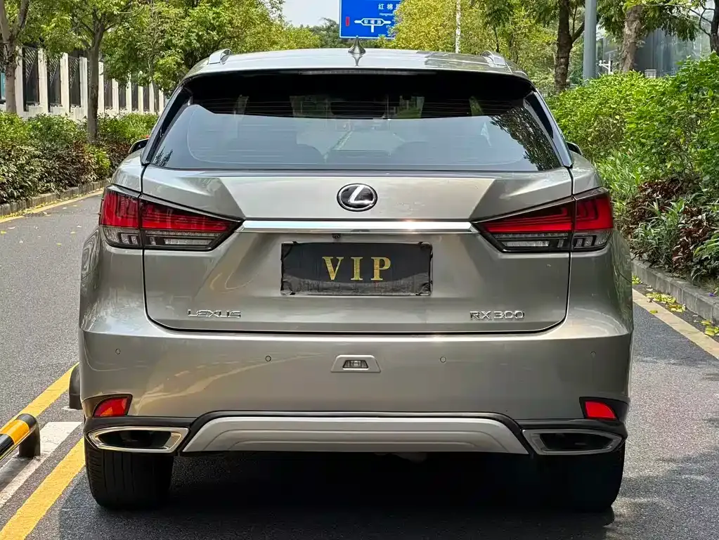 Lexus RX 2021 из CN, фото 8