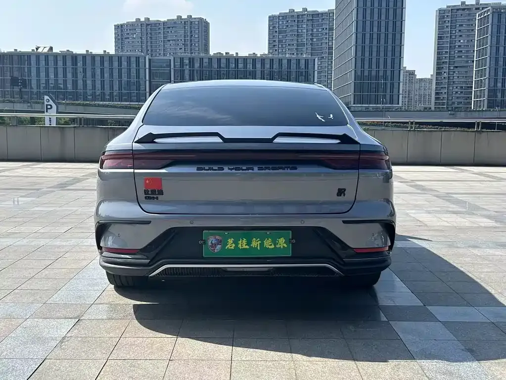 BYD Han — фото 10
