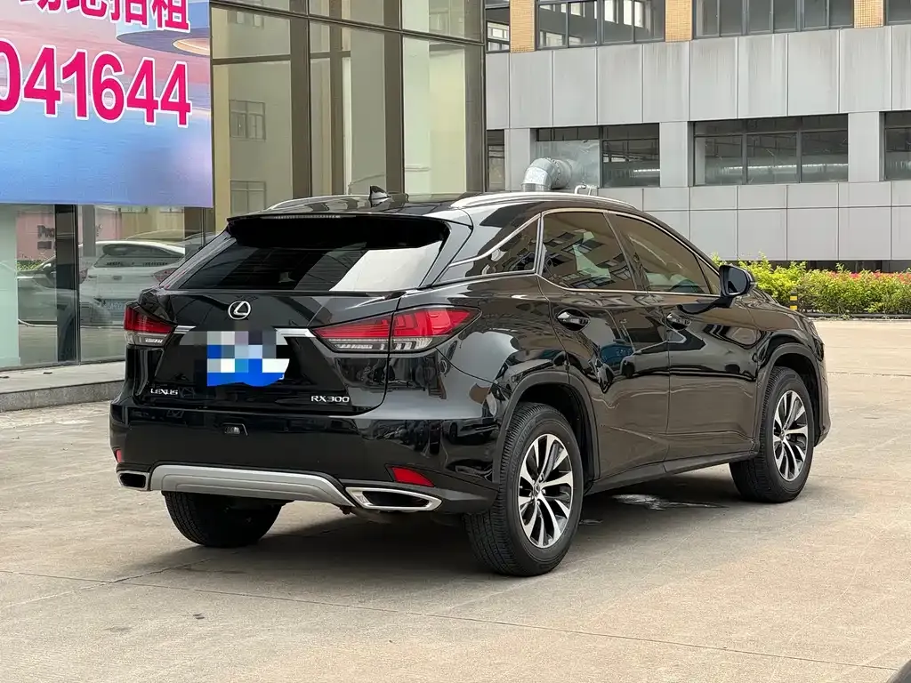 Lexus RX — фото 5
