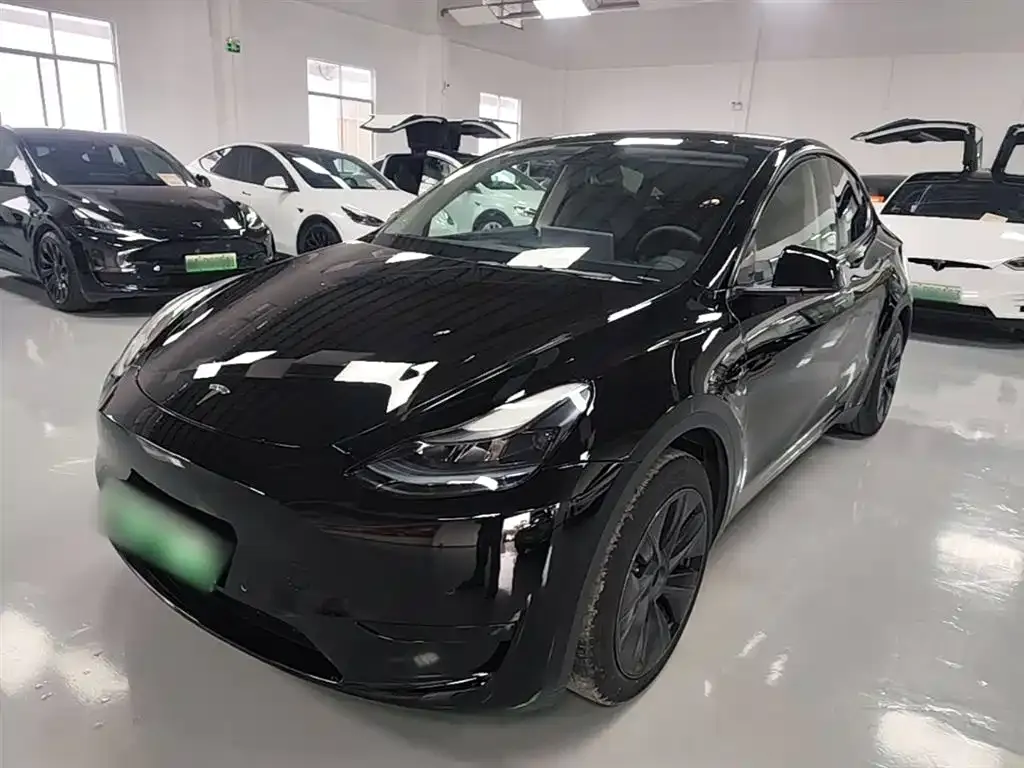 Tesla Model Y — фото 6