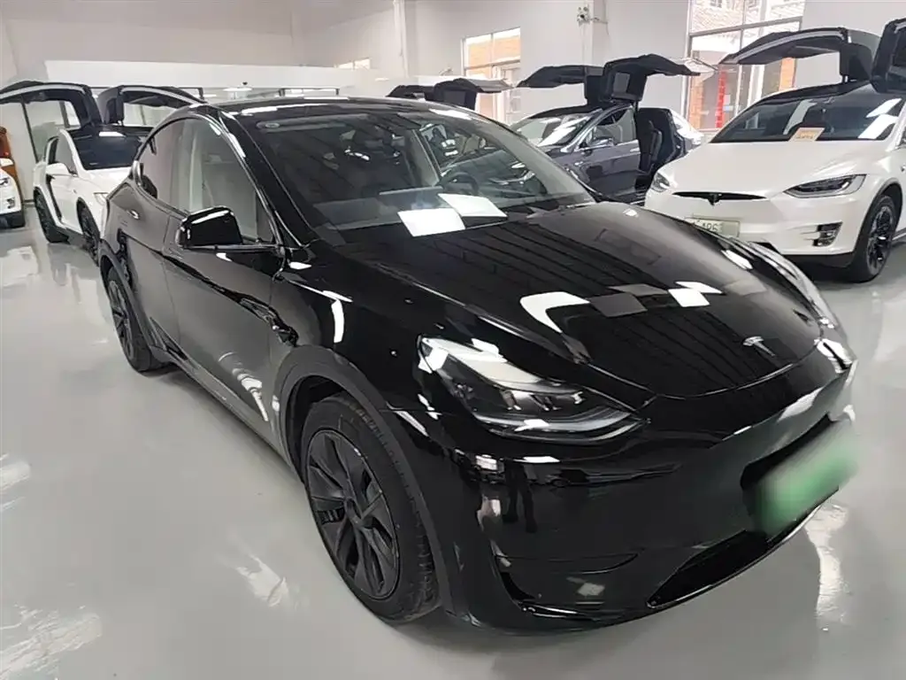 Tesla Model Y — фото 10