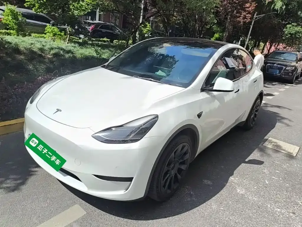Tesla Model Y — фото 1