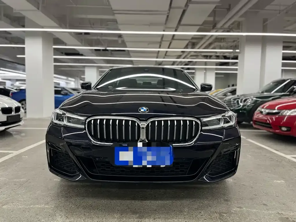 BMW 5 Series 2021 из CN, фото 2