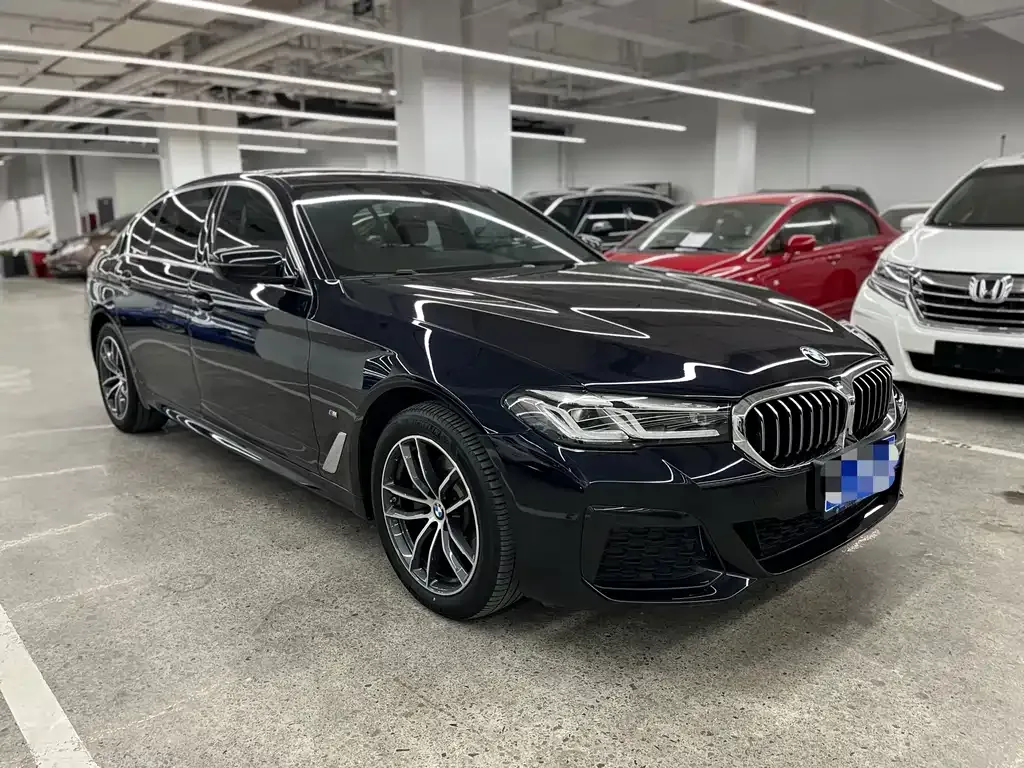 BMW 5 Series 2021 из CN, фото 7