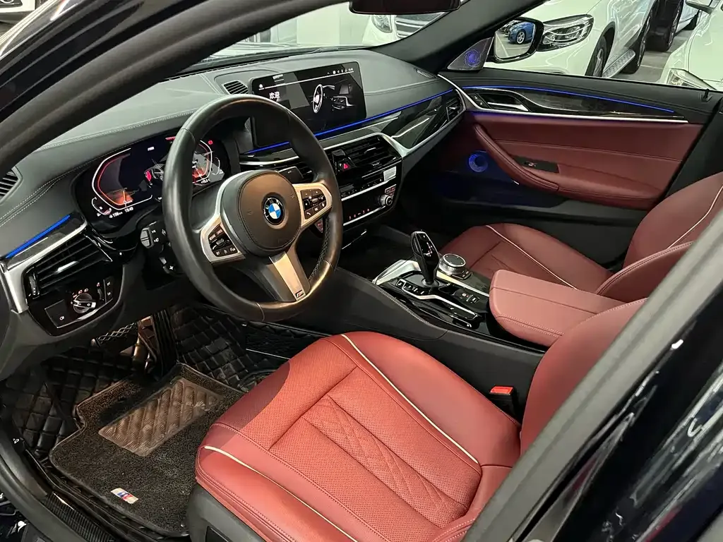 BMW 5 Series 2021 из CN, фото 9