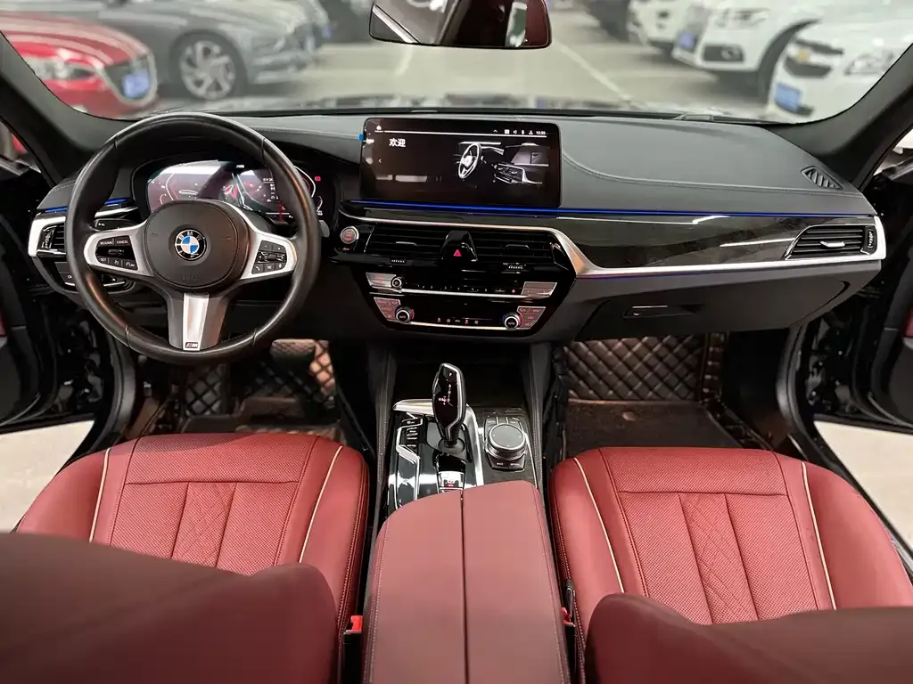 BMW 5 Series 2021 из CN, фото 8