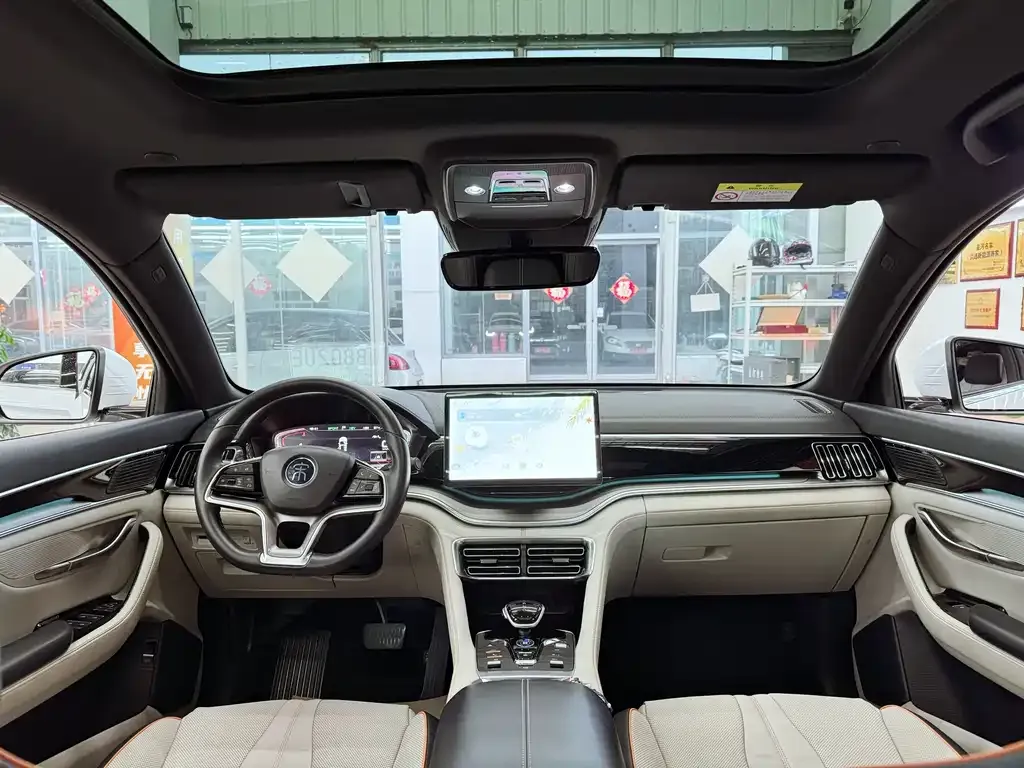 BYD PLUS New Energy 2023 из CN, фото 5
