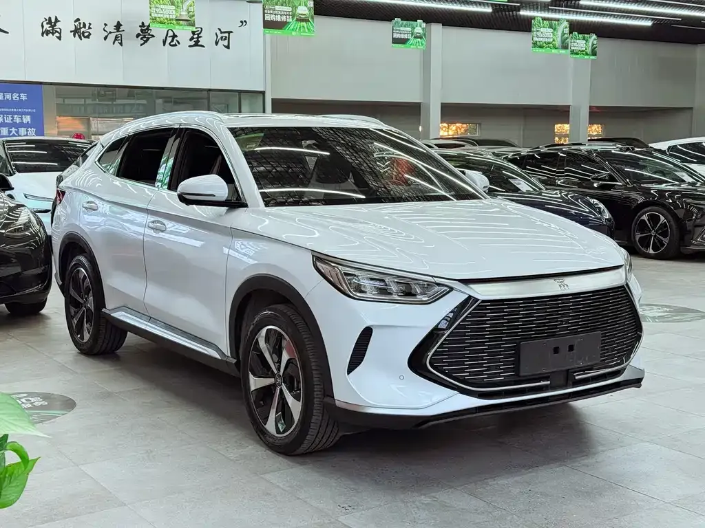 BYD PLUS New Energy 2023 из CN, фото 4