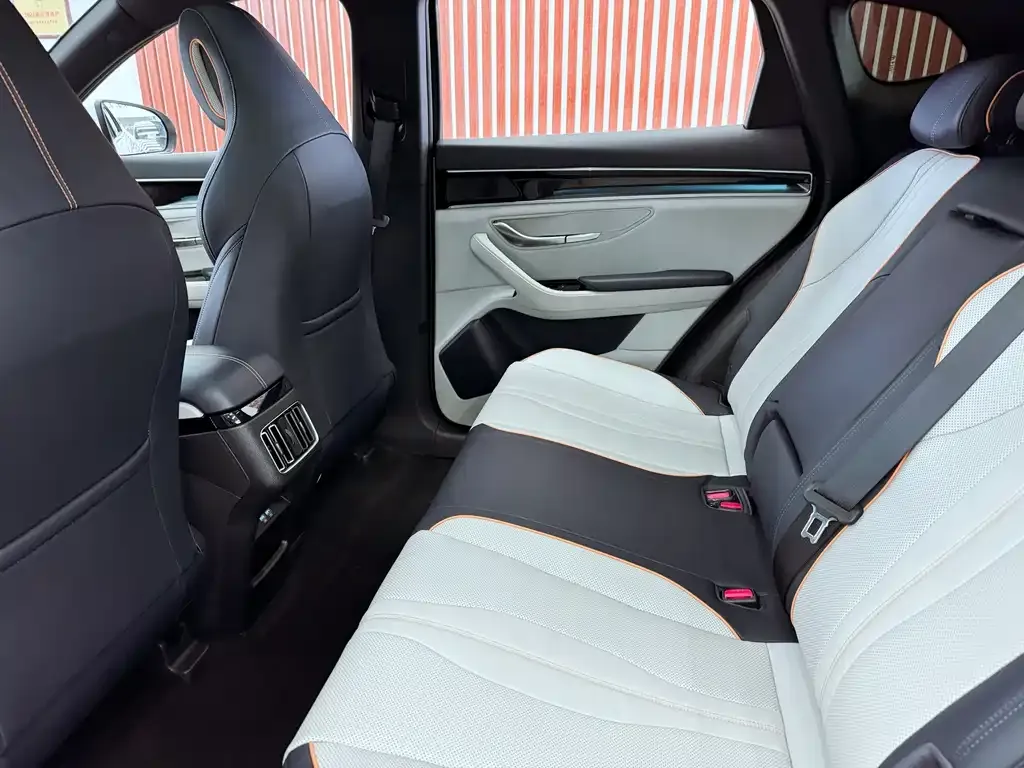 BYD PLUS New Energy 2023 из CN, фото 3