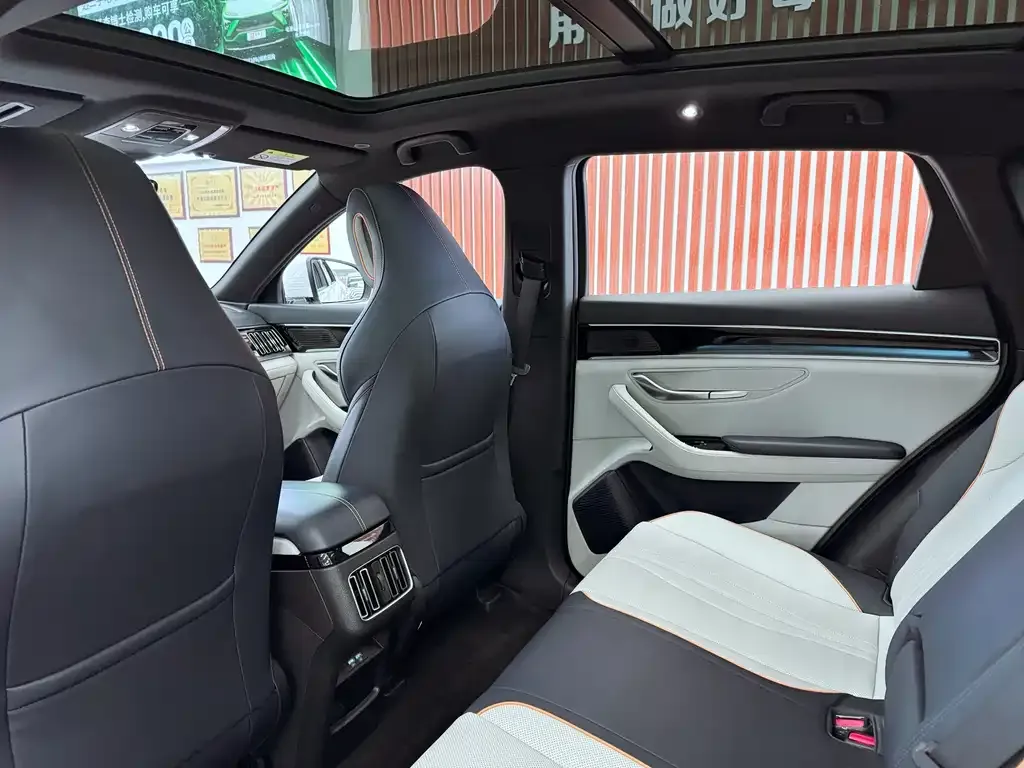 BYD PLUS New Energy 2023 из CN, фото 2