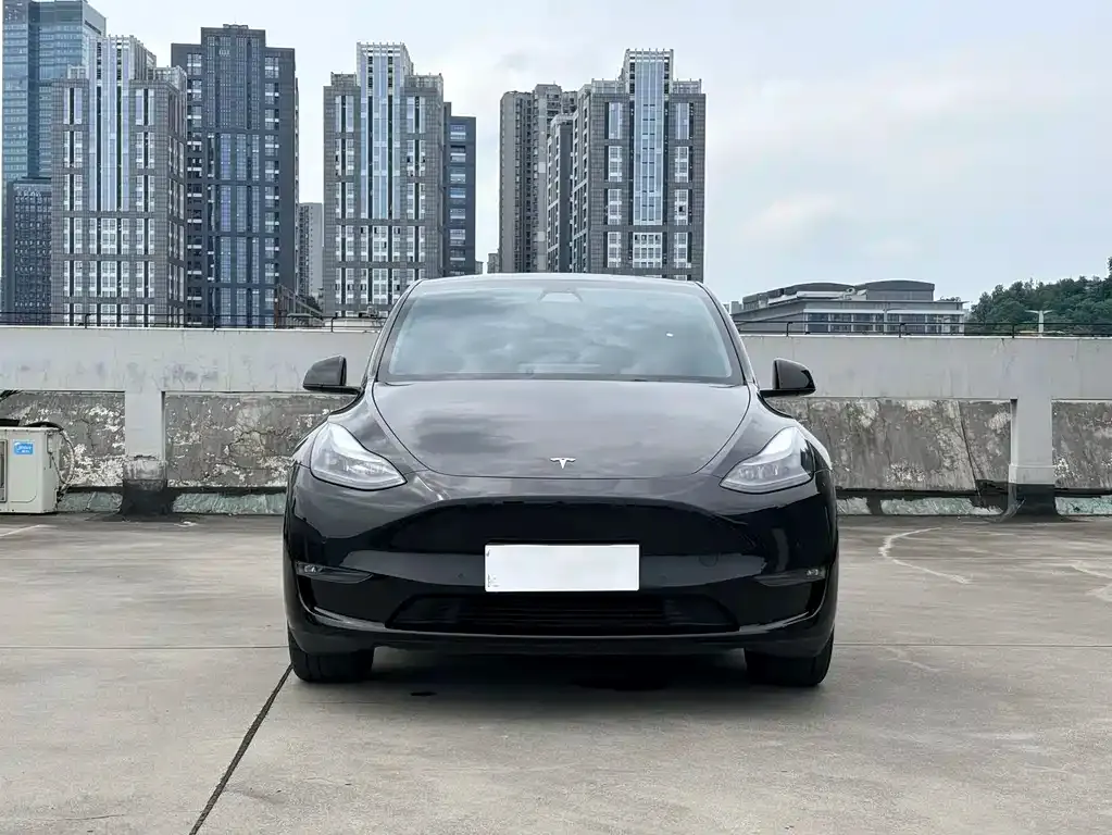 Tesla Model Y — фото 10