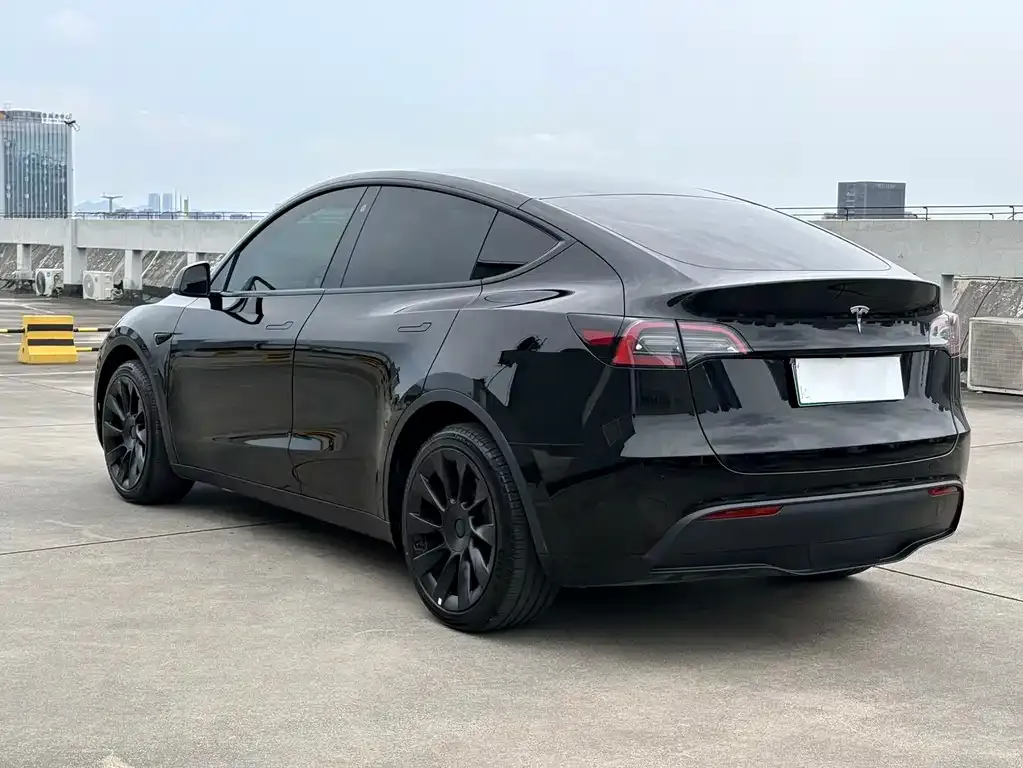 Tesla Model Y — фото 4