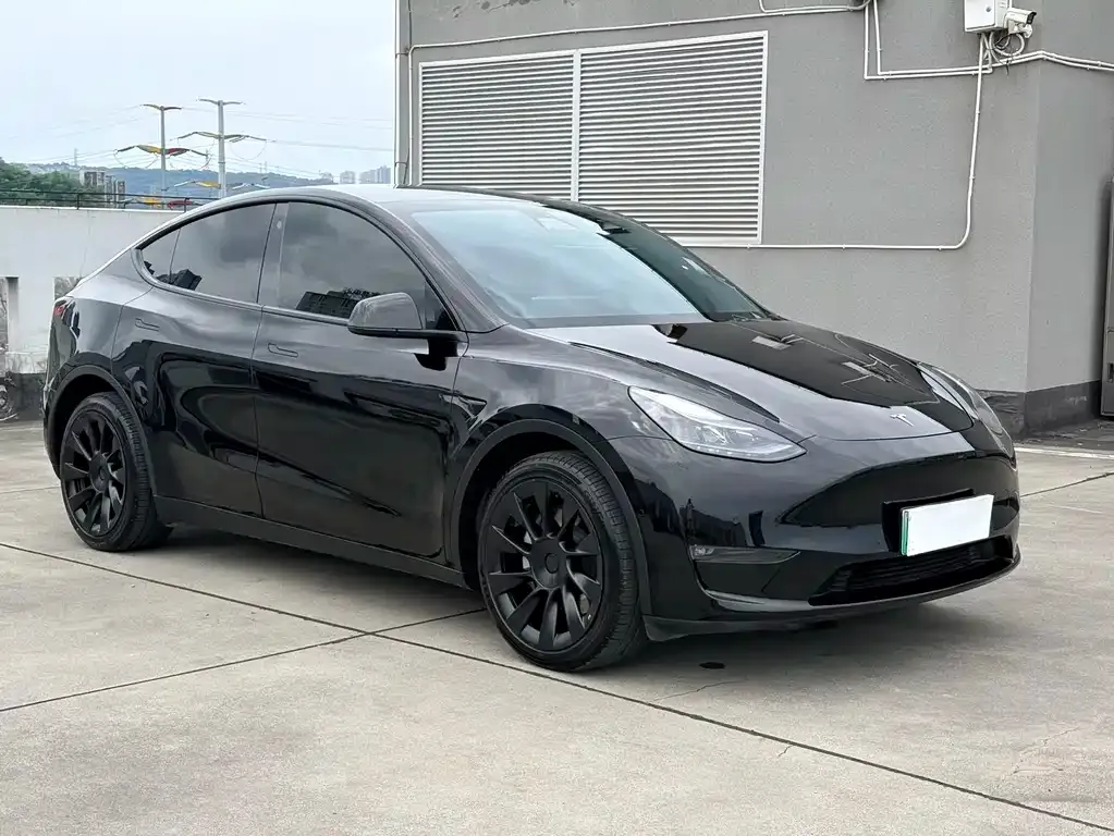 Tesla Model Y — фото 8