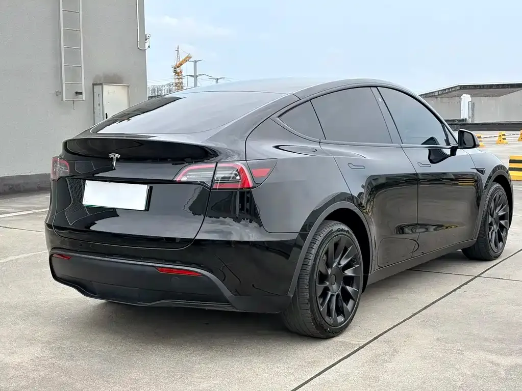 Tesla Model Y — фото 9