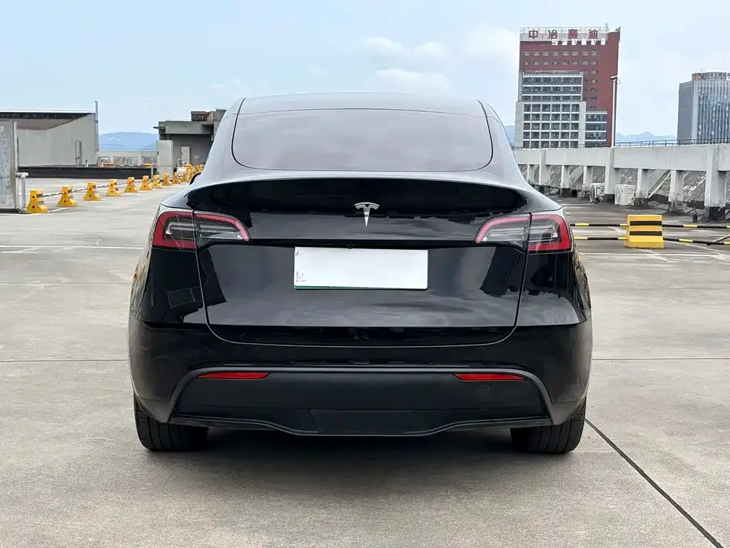 Tesla Model Y — фото 3