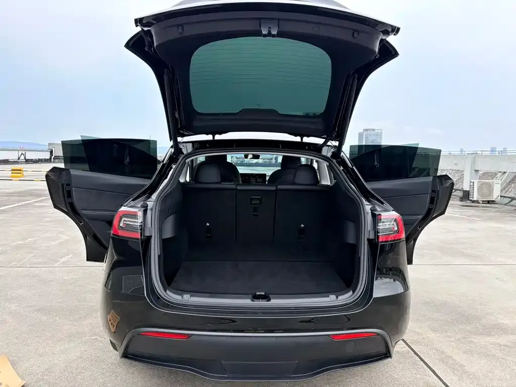 Tesla Model Y — фото 5