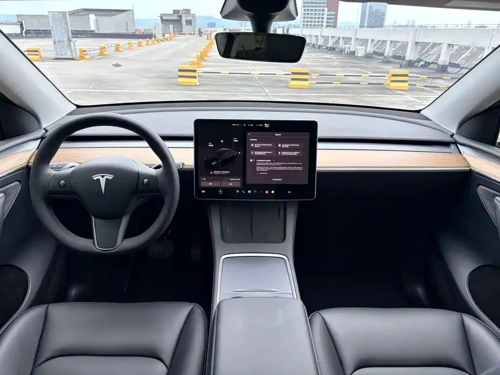Tesla Model Y — фото 2