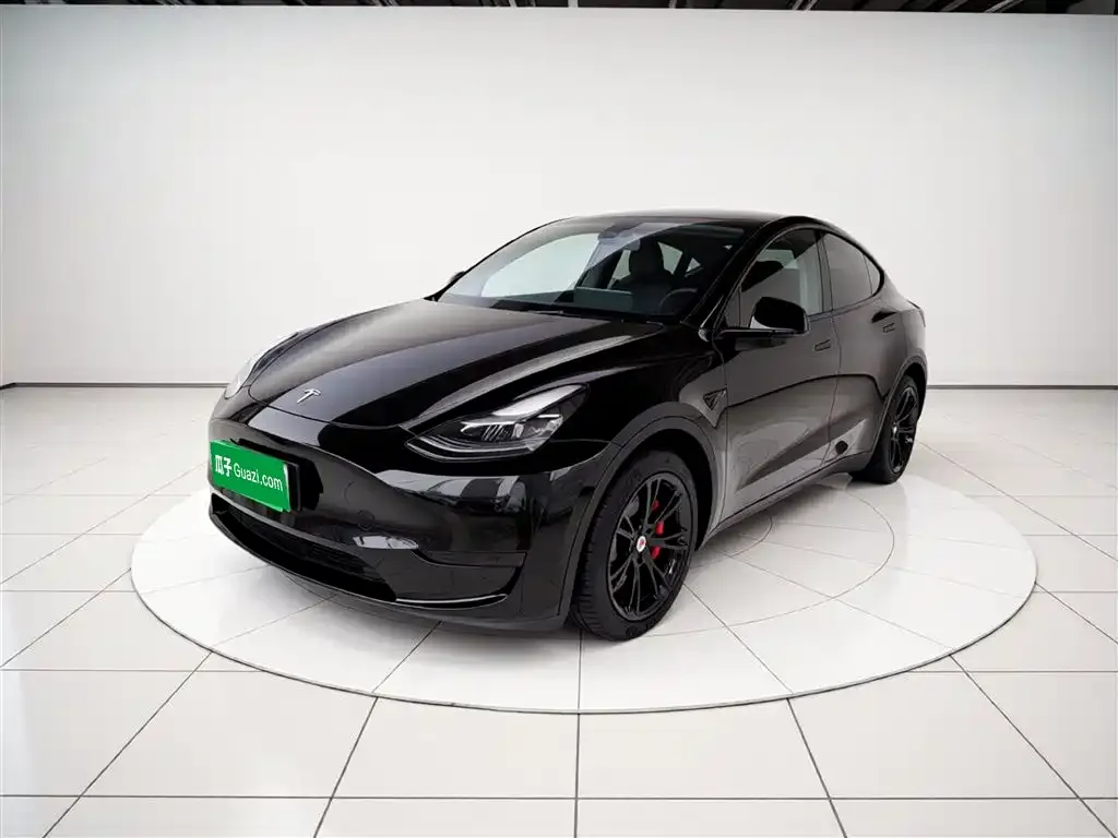 Tesla Model Y — фото 2