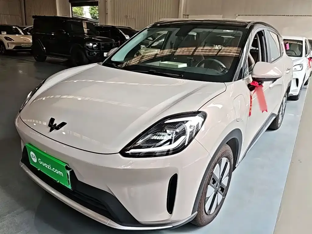 Wuling Bingo S