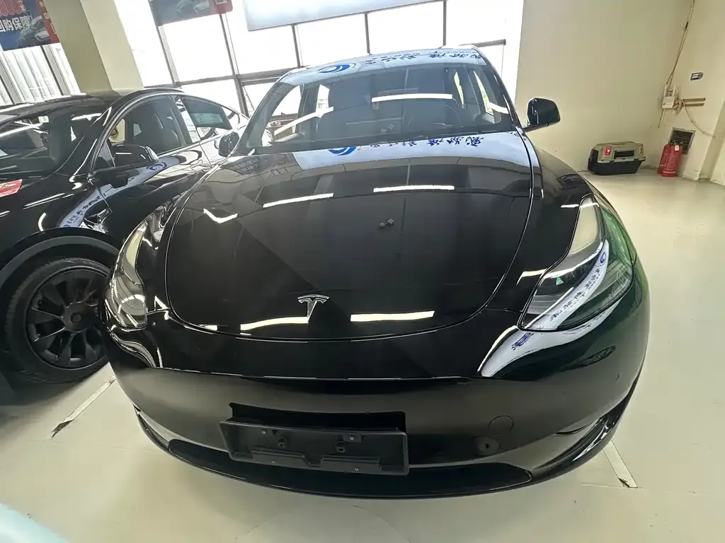 Tesla Model Y — фото 3