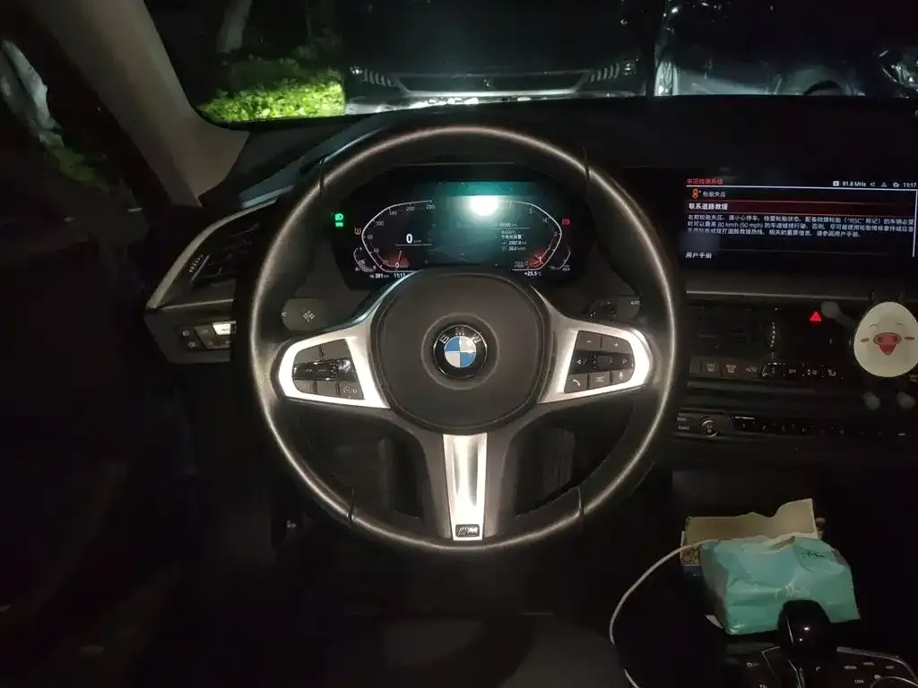 BMW 2 Series (Import) 2021 из CN, фото 8