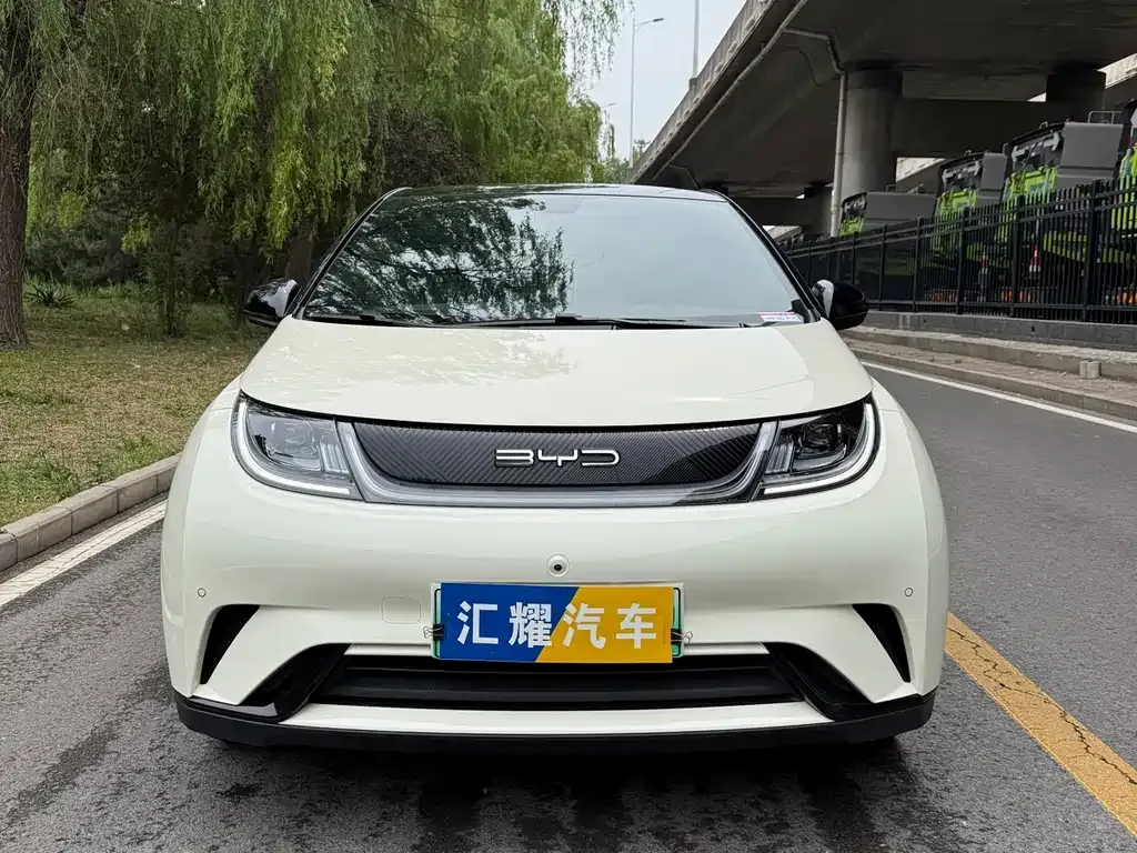 BYD Dolphin 2023 из CN, фото 10