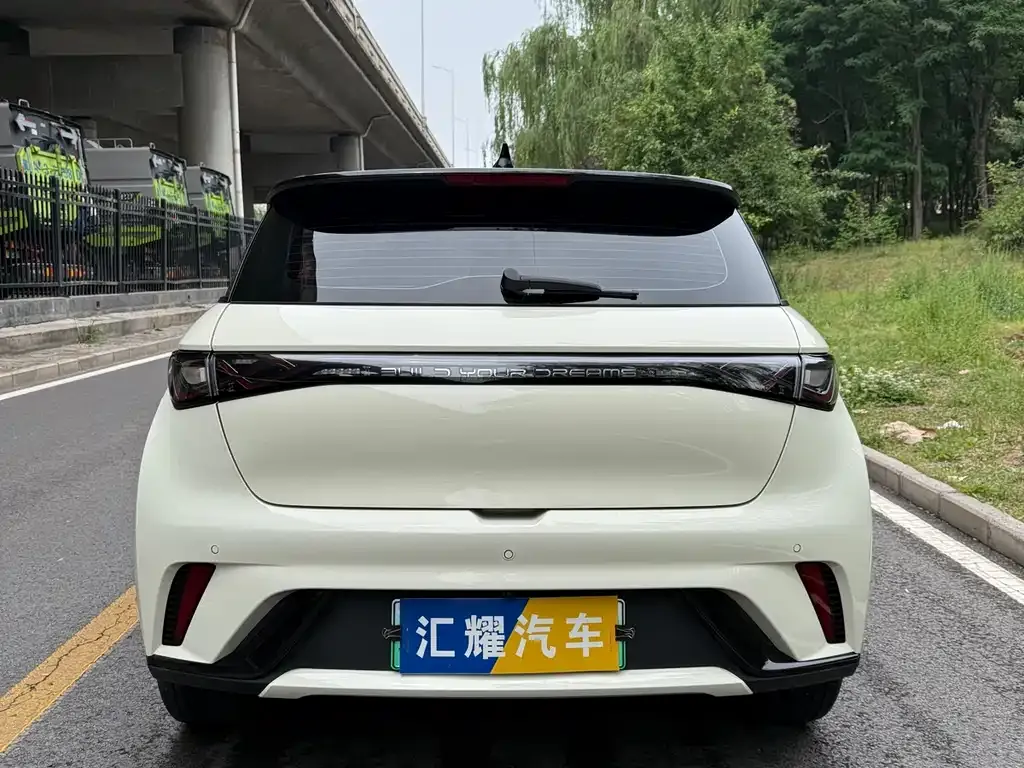 BYD Dolphin 2023 из CN, фото 3