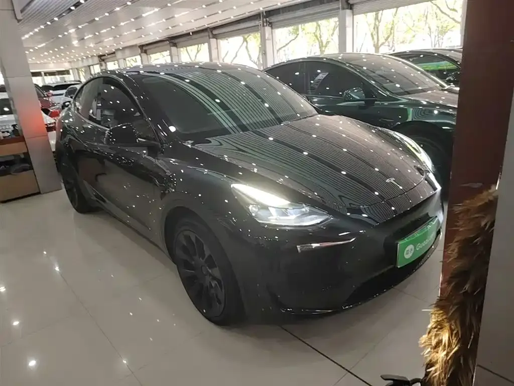 Tesla Model Y — фото 3