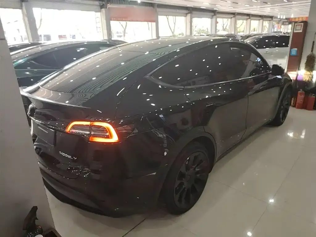 Tesla Model Y — фото 2