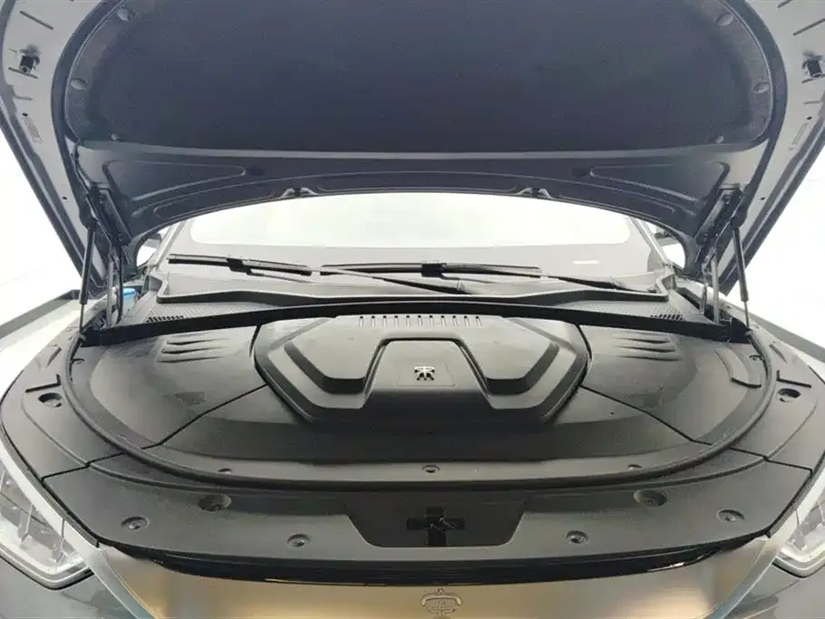 BYD PLUS New Energy — фото 4
