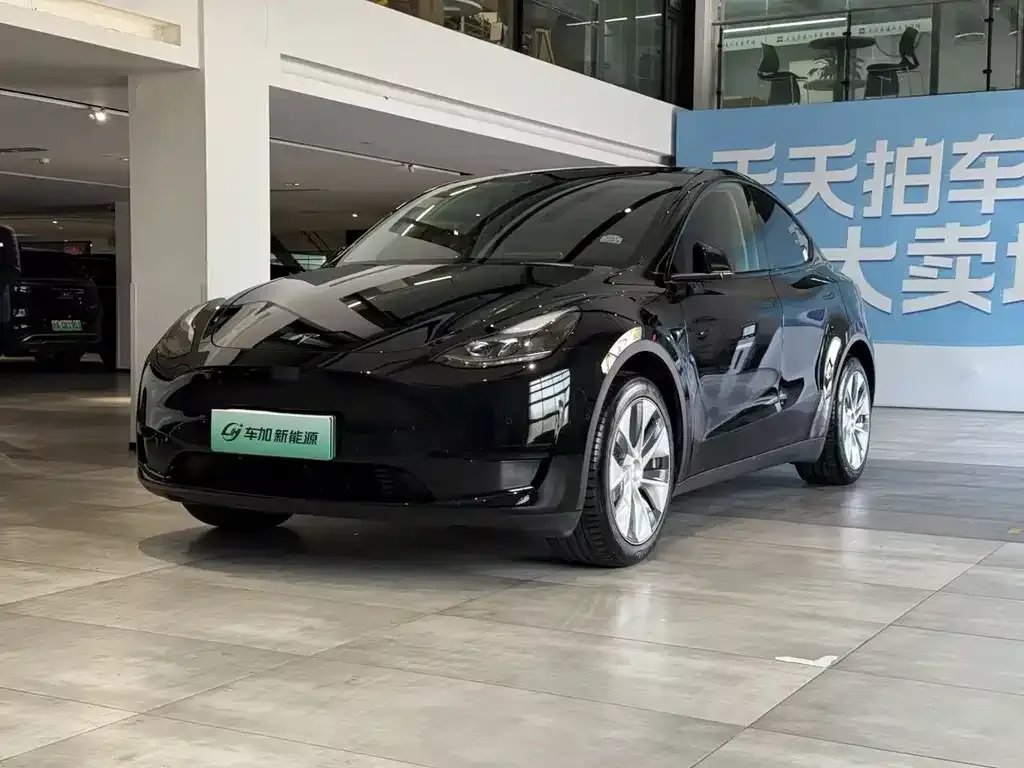 Tesla Model Y — фото 1