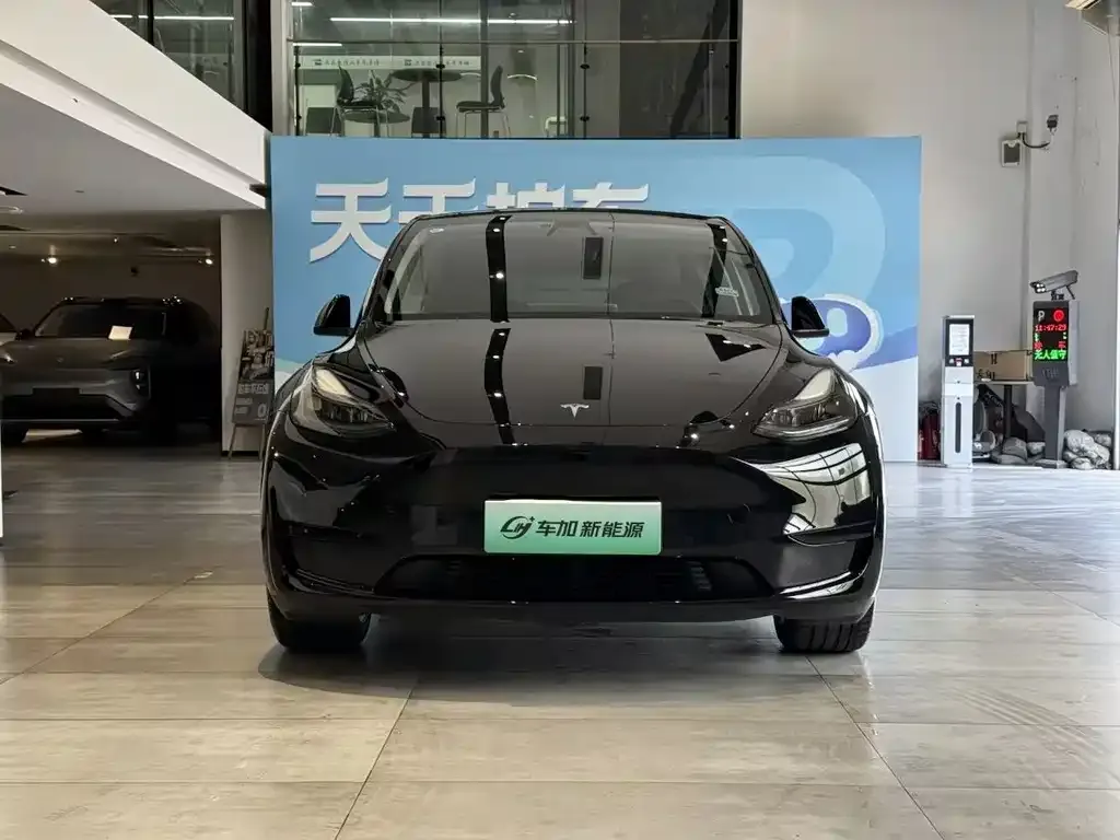 Tesla Model Y — фото 9