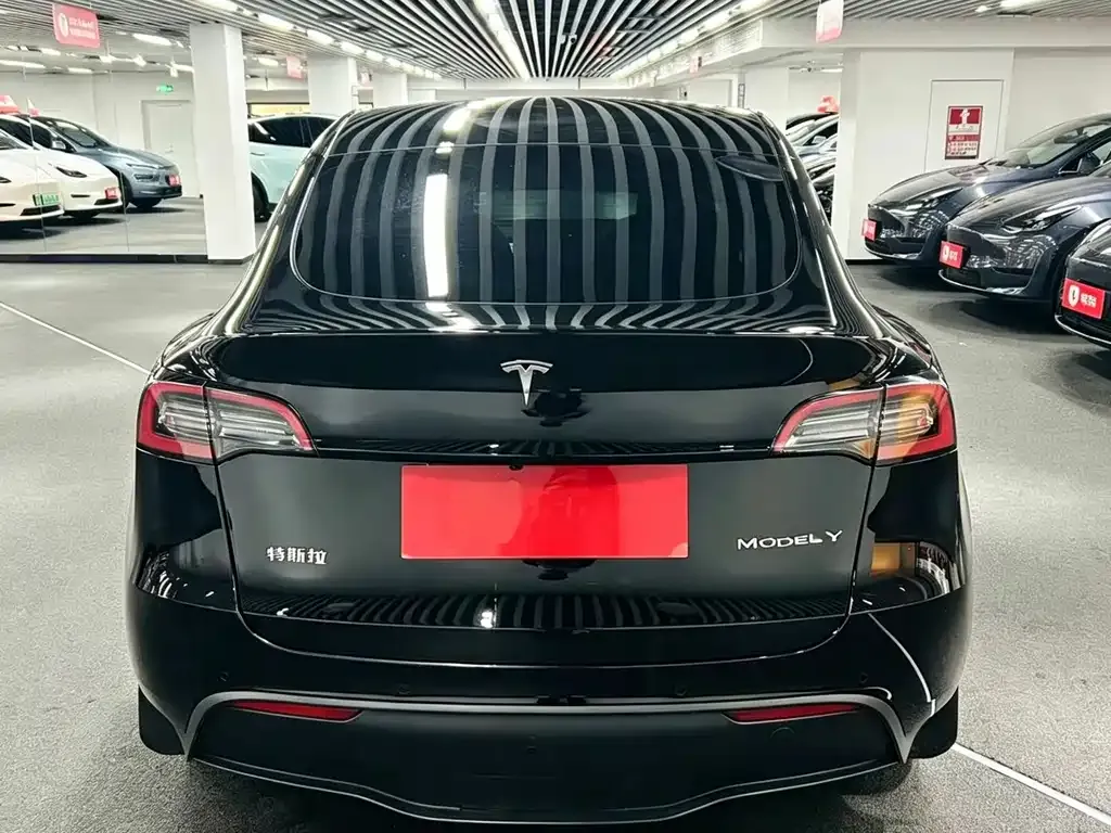 Tesla Model Y — фото 2
